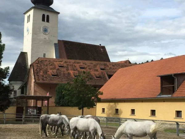 3-TAGEFAHRT WESTSTEIERMARK 2018 – Traktor-Oldtimer-Club Markt Hartmannsdorf, Foto 40