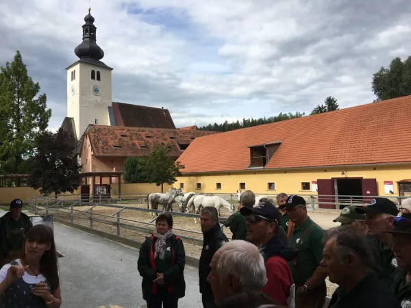 3-TAGEFAHRT WESTSTEIERMARK 2018 – Traktor-Oldtimer-Club Markt Hartmannsdorf, Foto 41