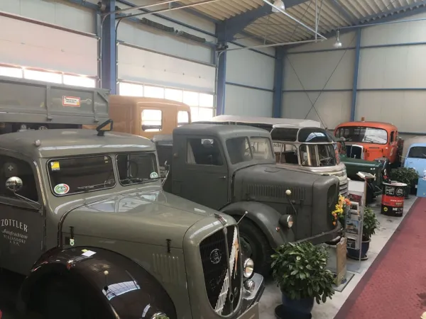 BUSAUSFLUG NIKLASDORF 2018 – Traktor-Oldtimer-Club Markt Hartmannsdorf, Foto 6