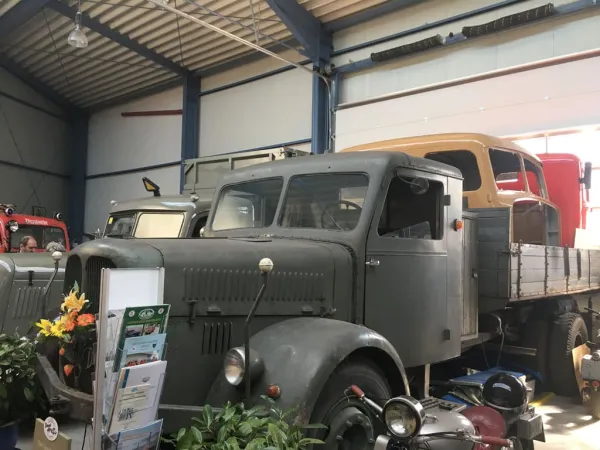 BUSAUSFLUG NIKLASDORF 2018 – Traktor-Oldtimer-Club Markt Hartmannsdorf, Foto 15