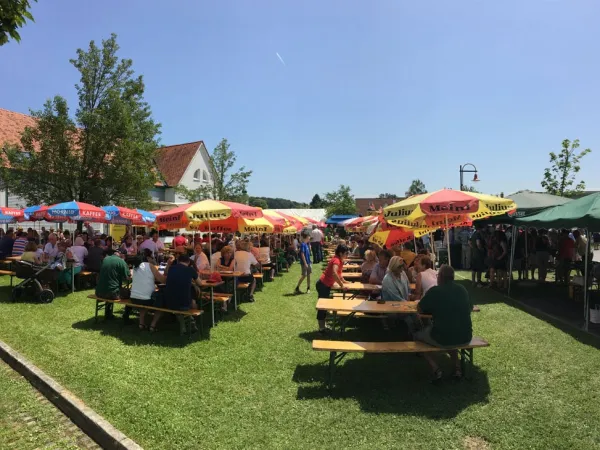 TOC FEST 2018 – Traktor-Oldtimer-Club Markt Hartmannsdorf, Foto 107