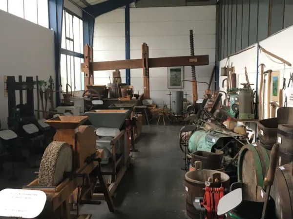 BUSAUSFLUG ST. MICHAEL 2019 – Traktor-Oldtimer-Club Markt Hartmannsdorf, Foto 5