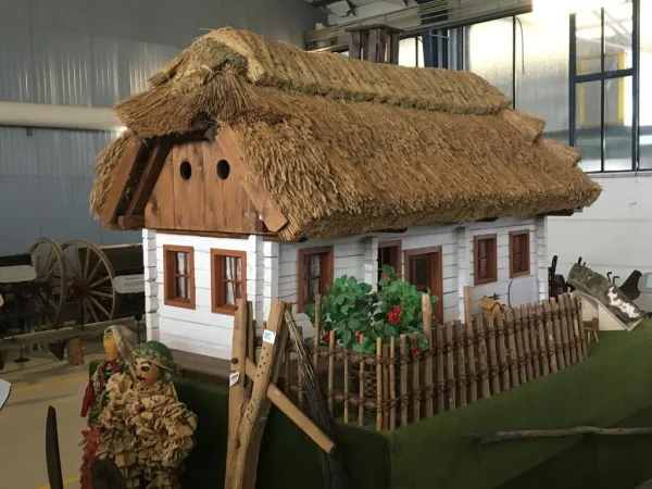 BUSAUSFLUG ST. MICHAEL 2019 – Traktor-Oldtimer-Club Markt Hartmannsdorf, Foto 7
