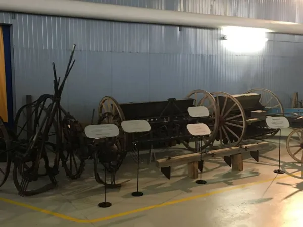 BUSAUSFLUG ST. MICHAEL 2019 – Traktor-Oldtimer-Club Markt Hartmannsdorf, Foto 8