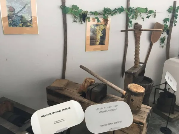 BUSAUSFLUG ST. MICHAEL 2019 – Traktor-Oldtimer-Club Markt Hartmannsdorf, Foto 28
