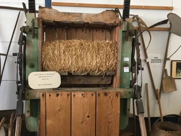 BUSAUSFLUG ST. MICHAEL 2019 – Traktor-Oldtimer-Club Markt Hartmannsdorf, Foto 50
