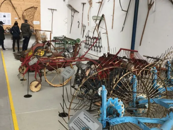 BUSAUSFLUG ST. MICHAEL 2019 – Traktor-Oldtimer-Club Markt Hartmannsdorf, Foto 62