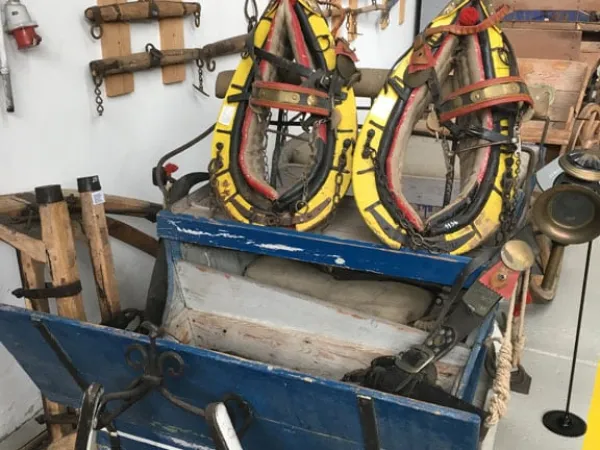 BUSAUSFLUG ST. MICHAEL 2019 – Traktor-Oldtimer-Club Markt Hartmannsdorf, Foto 69