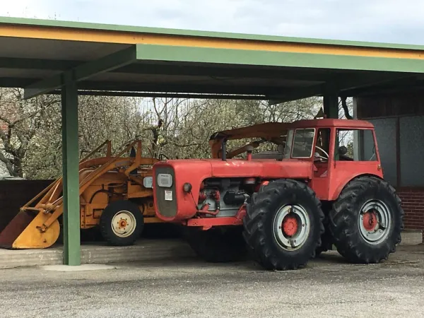 BUSAUSFLUG ST. MICHAEL 2019 – Traktor-Oldtimer-Club Markt Hartmannsdorf, Foto 74