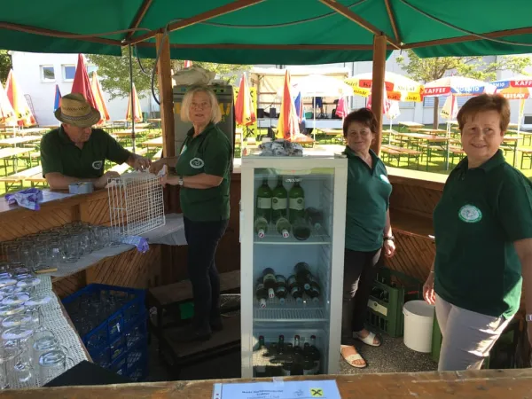 TOC FEST 2019 – Traktor-Oldtimer-Club Markt Hartmannsdorf, Foto 7