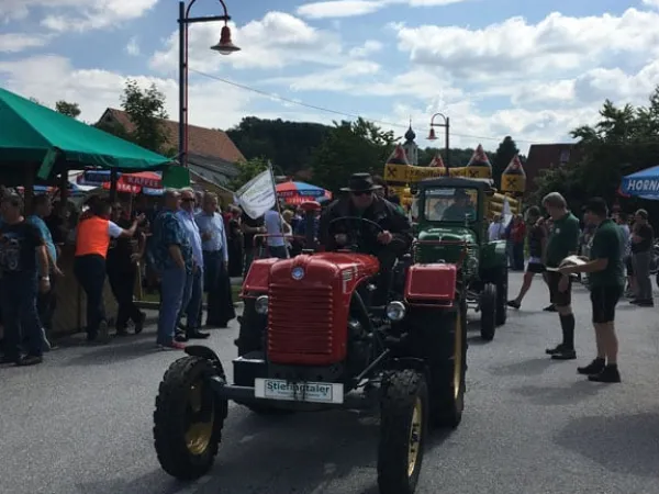 TOC FEST 2019 – Traktor-Oldtimer-Club Markt Hartmannsdorf, Foto 30