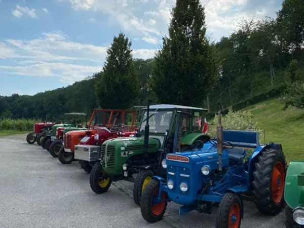 AUSWINTERUNGSFAHRT & JOSEF FINK GEDENKFAHRT 2020 – Traktor-Oldtimer-Club Markt Hartmannsdorf, Foto 9