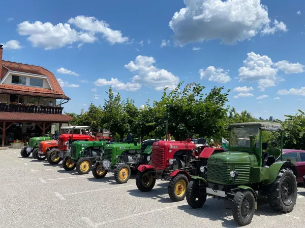 3-TAGESAUSFLUG SLOWENIEN 2023 – Traktor-Oldtimer-Club Markt Hartmannsdorf, Foto 15