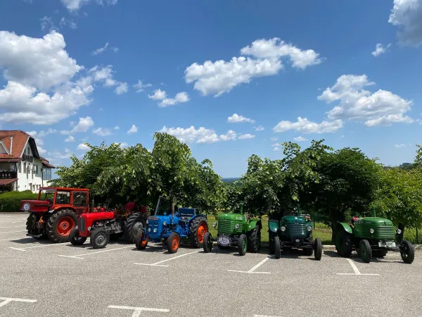 3-TAGESAUSFLUG SLOWENIEN 2023 – Traktor-Oldtimer-Club Markt Hartmannsdorf, Foto 16
