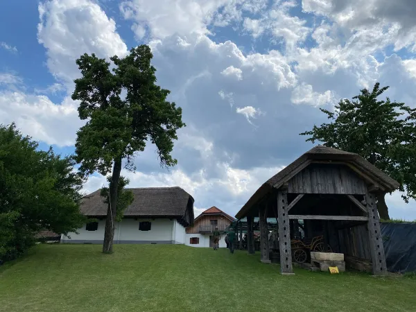 3-TAGESAUSFLUG SLOWENIEN 2023 – Traktor-Oldtimer-Club Markt Hartmannsdorf, Foto 25