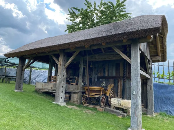 3-TAGESAUSFLUG SLOWENIEN 2023 – Traktor-Oldtimer-Club Markt Hartmannsdorf, Foto 27