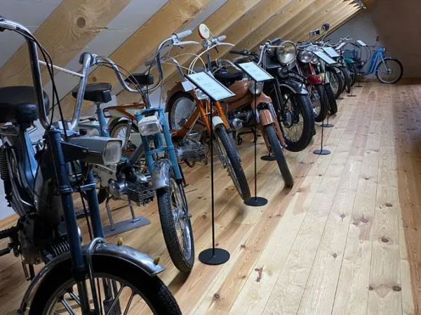 3-TAGESAUSFLUG SLOWENIEN 2023 – Traktor-Oldtimer-Club Markt Hartmannsdorf, Foto 51