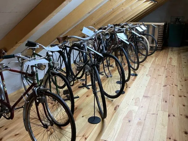 3-TAGESAUSFLUG SLOWENIEN 2023 – Traktor-Oldtimer-Club Markt Hartmannsdorf, Foto 55