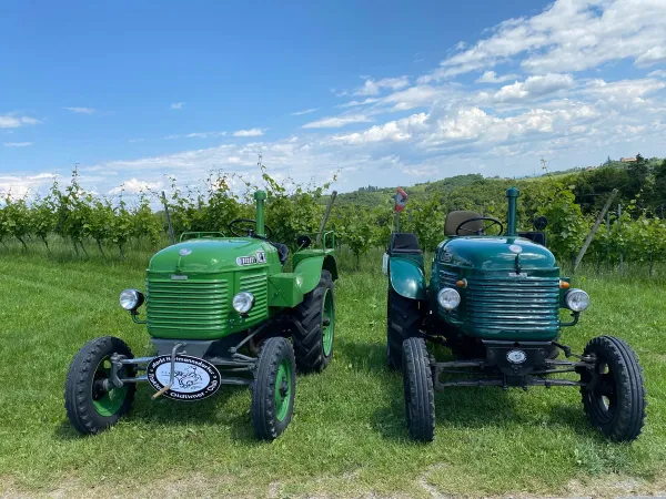 3-TAGESAUSFLUG SLOWENIEN 2023 – Traktor-Oldtimer-Club Markt Hartmannsdorf, Foto 104