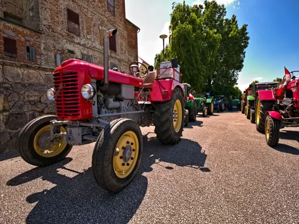 3-TAGESAUSFLUG SLOWENIEN 2023 – Traktor-Oldtimer-Club Markt Hartmannsdorf, Foto 143