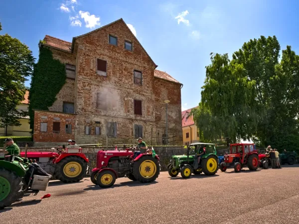 3-TAGESAUSFLUG SLOWENIEN 2023 – Traktor-Oldtimer-Club Markt Hartmannsdorf, Foto 149