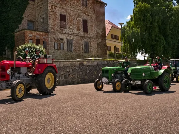 3-TAGESAUSFLUG SLOWENIEN 2023 – Traktor-Oldtimer-Club Markt Hartmannsdorf, Foto 150