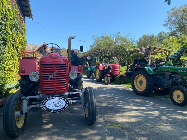 ANTONs OLDTIMER 2023 – Traktor-Oldtimer-Club Markt Hartmannsdorf, Foto 6