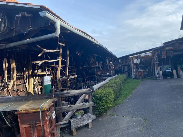 BUSAUSFLUG ANTON´S OLDTIMER 2024 – Traktor-Oldtimer-Club Markt Hartmannsdorf, Foto 18