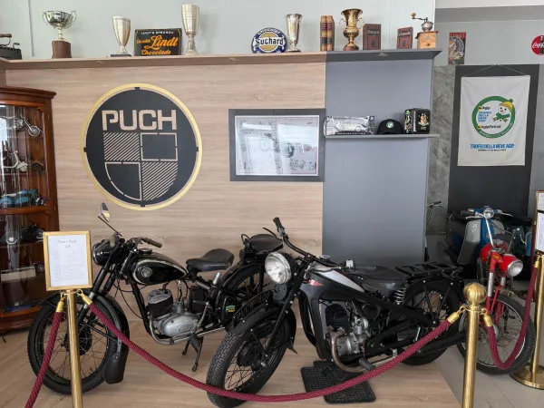 BUSAUSFLUG 2026 – Traktor-Oldtimer-Club Markt Hartmannsdorf, Foto 25