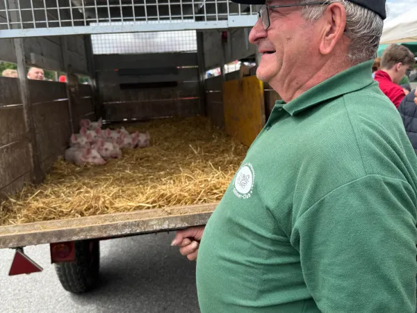 TOC-Fest 2026 – Traktor-Oldtimer-Club Markt Hartmannsdorf, Foto 125